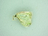  ( - BC ZSM Lep 101172)  @11 [ ] CreativeCommons - Attribution Non-Commercial Share-Alike (2017) SNSB, Staatliche Naturwissenschaftliche Sammlungen Bayerns ZSM (SNSB, Zoologische Staatssammlung Muenchen)