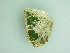  ( - BC ZSM Lep 101205)  @11 [ ] CreativeCommons - Attribution Non-Commercial Share-Alike (2017) SNSB, Staatliche Naturwissenschaftliche Sammlungen Bayerns ZSM (SNSB, Zoologische Staatssammlung Muenchen)