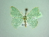  ( - BC ZSM Lep 101536)  @11 [ ] CreativeCommons - Attribution Non-Commercial Share-Alike (2017) SNSB, Staatliche Naturwissenschaftliche Sammlungen Bayerns ZSM (SNSB, Zoologische Staatssammlung Muenchen)