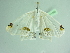  ( - BC ZSM Lep 101548)  @11 [ ] CreativeCommons - Attribution Non-Commercial Share-Alike (2017) SNSB, Staatliche Naturwissenschaftliche Sammlungen Bayerns ZSM (SNSB, Zoologische Staatssammlung Muenchen)