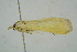  ( - BC ZSM Lep 101646)  @11 [ ] CreativeCommons - Attribution Non-Commercial Share-Alike (2017) SNSB, Staatliche Naturwissenschaftliche Sammlungen Bayerns ZSM (SNSB, Zoologische Staatssammlung Muenchen)