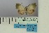  ( - BC ZSM Lep 98865)  @11 [ ] CreativeCommons - Attribution Non-Commercial Share-Alike (2018) SNSB, Staatliche Naturwissenschaftliche Sammlungen Bayerns ZSM (SNSB, Zoologische Staatssammlung Muenchen)