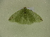  ( - BC ZSM Lep 102110)  @11 [ ] CreativeCommons - Attribution Non-Commercial Share-Alike (2018) SNSB, Staatliche Naturwissenschaftliche Sammlungen Bayerns ZSM (SNSB, Zoologische Staatssammlung Muenchen)