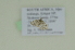  ( - BC ZSM Lep 102475)  @11 [ ] CreativeCommons - Attribution Non-Commercial Share-Alike (2018) SNSB, Staatliche Naturwissenschaftliche Sammlungen Bayerns ZSM (SNSB, Zoologische Staatssammlung Muenchen)