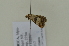 ( - BC ZSM Lep 102563)  @12 [ ] CreativeCommons - Attribution Non-Commercial Share-Alike (2018) SNSB, Staatliche Naturwissenschaftliche Sammlungen Bayerns ZSM (SNSB, Zoologische Staatssammlung Muenchen)