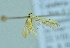  ( - BC ZSM Lep 104302)  @12 [ ] CreativeCommons - Attribution Non-Commercial Share-Alike (2018) SNSB, Staatliche Naturwissenschaftliche Sammlungen Bayerns ZSM (SNSB, Zoologische Staatssammlung Muenchen)