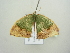  ( - BC ZSM Lep 104500)  @12 [ ] CreativeCommons - Attribution Non-Commercial Share-Alike (2018) SNSB, Staatliche Naturwissenschaftliche Sammlungen Bayerns ZSM (SNSB, Zoologische Staatssammlung Muenchen)