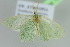  ( - BC ZSM Lep 103714)  @11 [ ] CreativeCommons - Attribution Non-Commercial Share-Alike (2018) SNSB, Staatliche Naturwissenschaftliche Sammlungen Bayerns ZSM (SNSB, Zoologische Staatssammlung Muenchen)