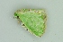  ( - BC ZSM Lep 103953)  @11 [ ] CreativeCommons - Attribution Non-Commercial Share-Alike (2018) SNSB, Staatliche Naturwissenschaftliche Sammlungen Bayerns ZSM (SNSB, Zoologische Staatssammlung Muenchen)