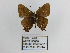  ( - CP Lep 1351)  @11 [ ] CreativeCommons - Attribution Non-Commercial Share-Alike (2018) SNSB, Staatliche Naturwissenschaftliche Sammlungen Bayerns ZSM (SNSB, Zoologische Staatssammlung Muenchen)