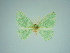  (Heterorachis viettei - BC ZSM Lep 76137)  @11 [ ] CreativeCommons - Attribution Non-Commercial Share-Alike (2013) Axel Hausmann/Bavarian State Collection of Zoology (ZSM) SNSB, Zoologische Staatssammlung Muenchen