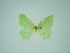  (Heterorachis defossa - BC ZSM Lep 76140)  @11 [ ] CreativeCommons - Attribution Non-Commercial Share-Alike (2013) Axel Hausmann/Bavarian State Collection of Zoology (ZSM) SNSB, Zoologische Staatssammlung Muenchen