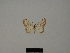  (Scopula sanguinolenta - BC ZSM Lep 77830)  @11 [ ] CreativeCommons - Attribution Non-Commercial Share-Alike (2013) Axel Hausmann/Bavarian State Collection of Zoology (ZSM) SNSB, Zoologische Staatssammlung Muenchen