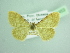  ( - BC ZSM Lep 103453)  @11 [ ] CreativeCommons - Attribution Non-Commercial Share-Alike (2018) SNSB, Staatliche Naturwissenschaftliche Sammlungen Bayerns ZSM (SNSB, Zoologische Staatssammlung Muenchen)