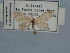  ( - BC ZSM Lep 106592)  @11 [ ] CreativeCommons - Attribution Non-Commercial Share-Alike (2019) SNSB, Staatliche Naturwissenschaftliche Sammlungen Bayerns ZSM (SNSB, Zoologische Staatssammlung Muenchen)
