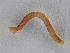  ( - BC ZSM Lep 107284)  @12 [ ] CreativeCommons - Attribution Non-Commercial Share-Alike (2019) SNSB, Staatliche Naturwissenschaftliche Sammlungen Bayerns ZSM (SNSB, Zoologische Staatssammlung Muenchen)