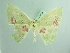  ( - BC ZSM Lep 93766_NGS)  @11 [ ] CreativeCommons - Attribution Non-Commercial Share-Alike (2016) SNSB, Staatliche Naturwissenschaftliche Sammlungen Bayerns ZSM (SNSB, Zoologische Staatssammlung Muenchen)