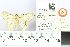  (Pingasa lahayei austrina - BMNH E 1377472)  @13 [ ] NHM, London (2016) NHM, London NHM, London
