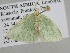  ( - BC ZSM Lep 105354)  @11 [ ] CreativeCommons - Attribution Non-Commercial Share-Alike (2019) SNSB, Staatliche Naturwissenschaftliche Sammlungen Bayerns ZSM (SNSB, Zoologische Staatssammlung Muenchen)