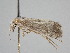  ( - BC ZSM Lep 105659)  @11 [ ] CreativeCommons - Attribution Non-Commercial Share-Alike (2019) SNSB, Staatliche Naturwissenschaftliche Sammlungen Bayerns ZSM (SNSB, Zoologische Staatssammlung Muenchen)