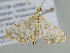  ( - BC ZSM Lep 105684)  @11 [ ] CreativeCommons - Attribution Non-Commercial Share-Alike (2019) SNSB, Staatliche Naturwissenschaftliche Sammlungen Bayerns ZSM (SNSB, Zoologische Staatssammlung Muenchen)