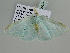  ( - BC ZSM Lep 105768)  @11 [ ] CreativeCommons - Attribution Non-Commercial Share-Alike (2019) SNSB, Staatliche Naturwissenschaftliche Sammlungen Bayerns ZSM (SNSB, Zoologische Staatssammlung Muenchen)