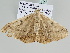  ( - BC ZSM Lep 106003)  @11 [ ] CreativeCommons - Attribution Non-Commercial Share-Alike (2019) SNSB, Staatliche Naturwissenschaftliche Sammlungen Bayerns ZSM (SNSB, Zoologische Staatssammlung Muenchen)