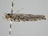  ( - BC ZSM Lep 110583)  @11 [ ] CreativeCommons - Attribution Non-Commercial Share-Alike (2020) SNSB, Staatliche Naturwissenschaftliche Sammlungen Bayerns ZSM (SNSB, Zoologische Staatssammlung Muenchen)