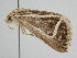  ( - BC ZSM Lep 111075)  @11 [ ] CreativeCommons - Attribution Non-Commercial Share-Alike (2020) SNSB, Staatliche Naturwissenschaftliche Sammlungen Bayerns ZSM (SNSB, Zoologische Staatssammlung Muenchen)