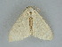  ( - BC ZSM Lep 112476)  @11 [ ] by-nc-sa (2020) SNSB, Staatliche Naturwissenschaftliche Sammlungen Bayerns ZSM (SNSB, Zoologische Staatssammlung Muenchen)