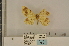  ( - BC ZSM Lep 112982)  @11 [ ] by-nc-sa (2021) SNSB, Staatliche Naturwissenschaftliche Sammlungen Bayerns ZSM (SNSB, Zoologische Staatssammlung Muenchen)