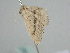  ( - BC_ZSM_Lep_115657)  @11 [ ] by-nc-sa (2022) SNSB, Staatliche Naturwissenschaftliche Sammlungen Bayerns ZSM (SNSB, Zoologische Staatssammlung Muenchen)