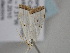  ( - BC_ZSM_Lep_117230)  @11 [ ] by-nc-sa (2023) SNSB, Staatliche Naturwissenschaftliche Sammlungen Bayerns ZSM (SNSB, Zoologische Staatssammlung Muenchen)