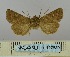  ( - BC_ZSM_Lep_117830)  @11 [ ] by-nc-sa (2023) SNSB, Staatliche Naturwissenschaftliche Sammlungen Bayerns ZSM (SNSB, Zoologische Staatssammlung Muenchen)