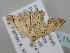  ( - BC_ZSM_Lep_118735)  @11 [ ] by-nc-sa (2023) SNSB, Staatliche Naturwissenschaftliche Sammlungen Bayerns ZSM (SNSB, Zoologische Staatssammlung Muenchen)
