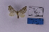  ( - BC_ZSM_Lep_118854)  @11 [ ] by-nc-sa (2023) SNSB, Staatliche Naturwissenschaftliche Sammlungen Bayerns ZSM (SNSB, Zoologische Staatssammlung Muenchen)