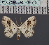  ( - BC_ZSM_Lep_116543)  @11 [ ] by-nc-sa (2024) SNSB, Staatliche Naturwissenschaftliche Sammlungen Bayerns ZSM (SNSB, Zoologische Staatssammlung Muenchen)