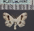  ( - BC_ZSM_Lep_116565)  @11 [ ] by-nc-sa (2024) SNSB, Staatliche Naturwissenschaftliche Sammlungen Bayerns ZSM (SNSB, Zoologische Staatssammlung Muenchen)
