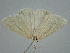  ( - BC_ZSM_Lep_119449)  @11 [ ] by-nc-sa (2024) SNSB, Staatliche Naturwissenschaftliche Sammlungen Bayerns ZSM (SNSB, Zoologische Staatssammlung Muenchen)