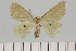  ( - BC_ZSM_Lep_119630)  @11 [ ] by-nc-sa (2024) SNSB, Staatliche Naturwissenschaftliche Sammlungen Bayerns ZSM (SNSB, Zoologische Staatssammlung Muenchen)