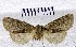  ( - BC_ZSM_Lep_121009)  @11 [ ] by-nc-sa (2025) SNSB, Staatliche Naturwissenschaftliche Sammlungen Bayerns ZSM (SNSB, Zoologische Staatssammlung Muenchen)