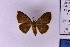  ( - BC_ZSM_Lep_121291)  @11 [ ] by-nc-sa (2025) SNSB, Staatliche Naturwissenschaftliche Sammlungen Bayerns ZSM (SNSB, Zoologische Staatssammlung Muenchen)