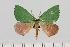  ( - BC_ZSM_Lep_121422)  @11 [ ] by-nc-sa (2025) SNSB, Staatliche Naturwissenschaftliche Sammlungen Bayerns ZSM (SNSB, Zoologische Staatssammlung Muenchen)