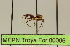  ( - MEPN Troya For 00006)  @11 [ ] Copyright (2012) Adrian Troya MEPN