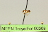  ( - MEPN Troya For 00008)  @11 [ ] Copyright (2012) Adrian Troya MEPN