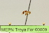  ( - MEPN Troya For 00009)  @11 [ ] Copyright (2012) Adrian Troya MEPN