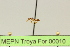  ( - MEPN Troya For 00010)  @12 [ ] Copyright (2012) Adrian Troya MEPN