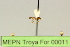  ( - MEPN Troya For 00011)  @12 [ ] Copyright (2012) Adrian Troya MEPN