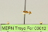  ( - MEPN Troya For 00012)  @11 [ ] Copyright (2012) Adrian Troya MEPN
