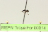  ( - MEPN Troya For 00014)  @11 [ ] Copyright (2012) Adrian Troya MEPN